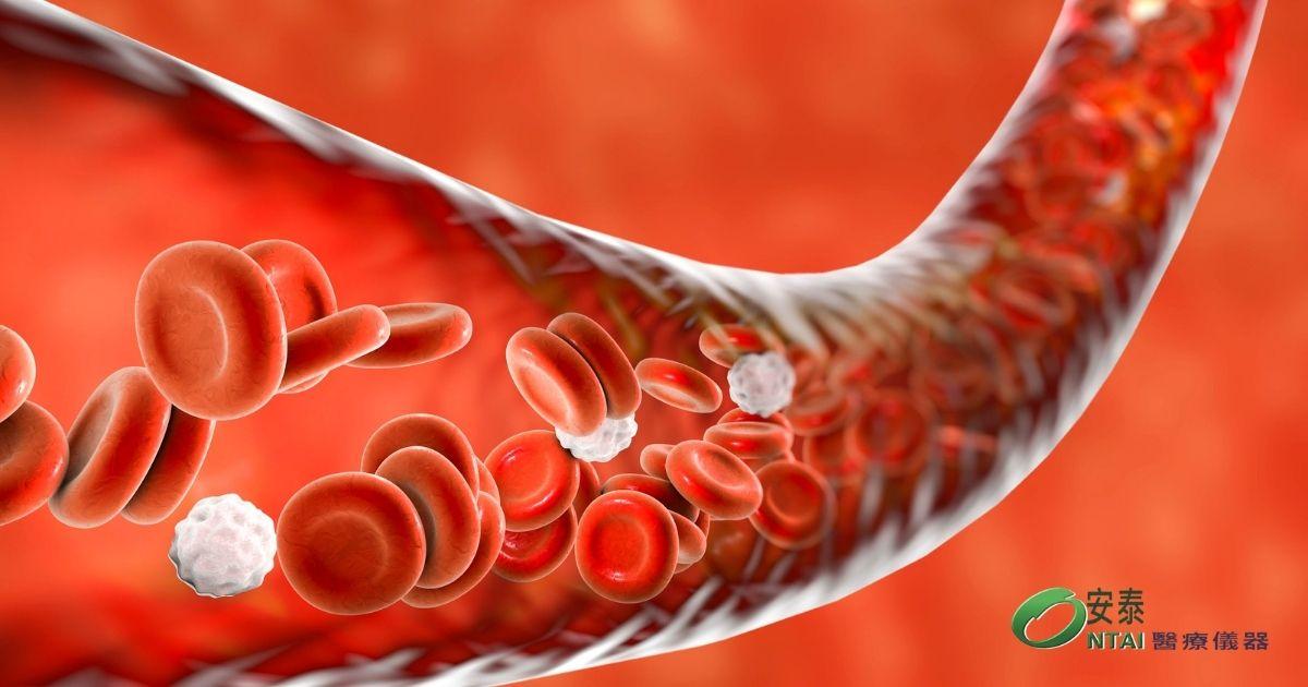 安泰 800 x 450 (2)