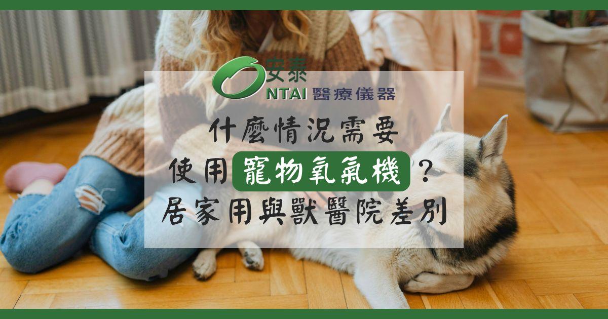 狗狗貓咪什麼情況需要使用寵物氧氣機？居家用與獸醫院差別